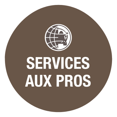 Services aux professionnels de l'automobile